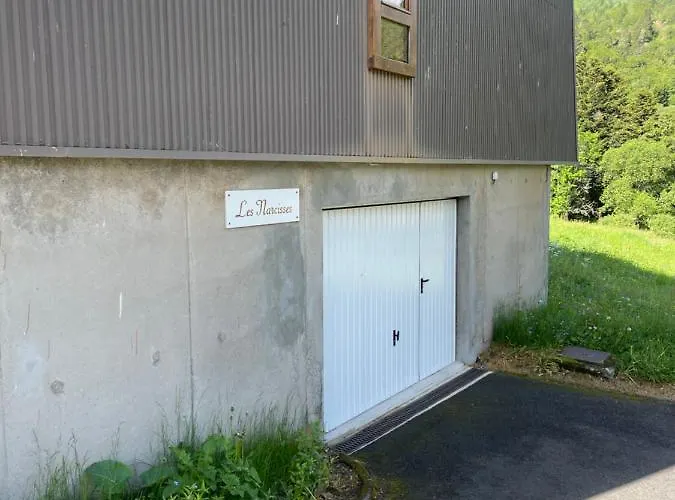 Apartamento L'ecrin D'edern 4pers Dore Le Mont-Dore
